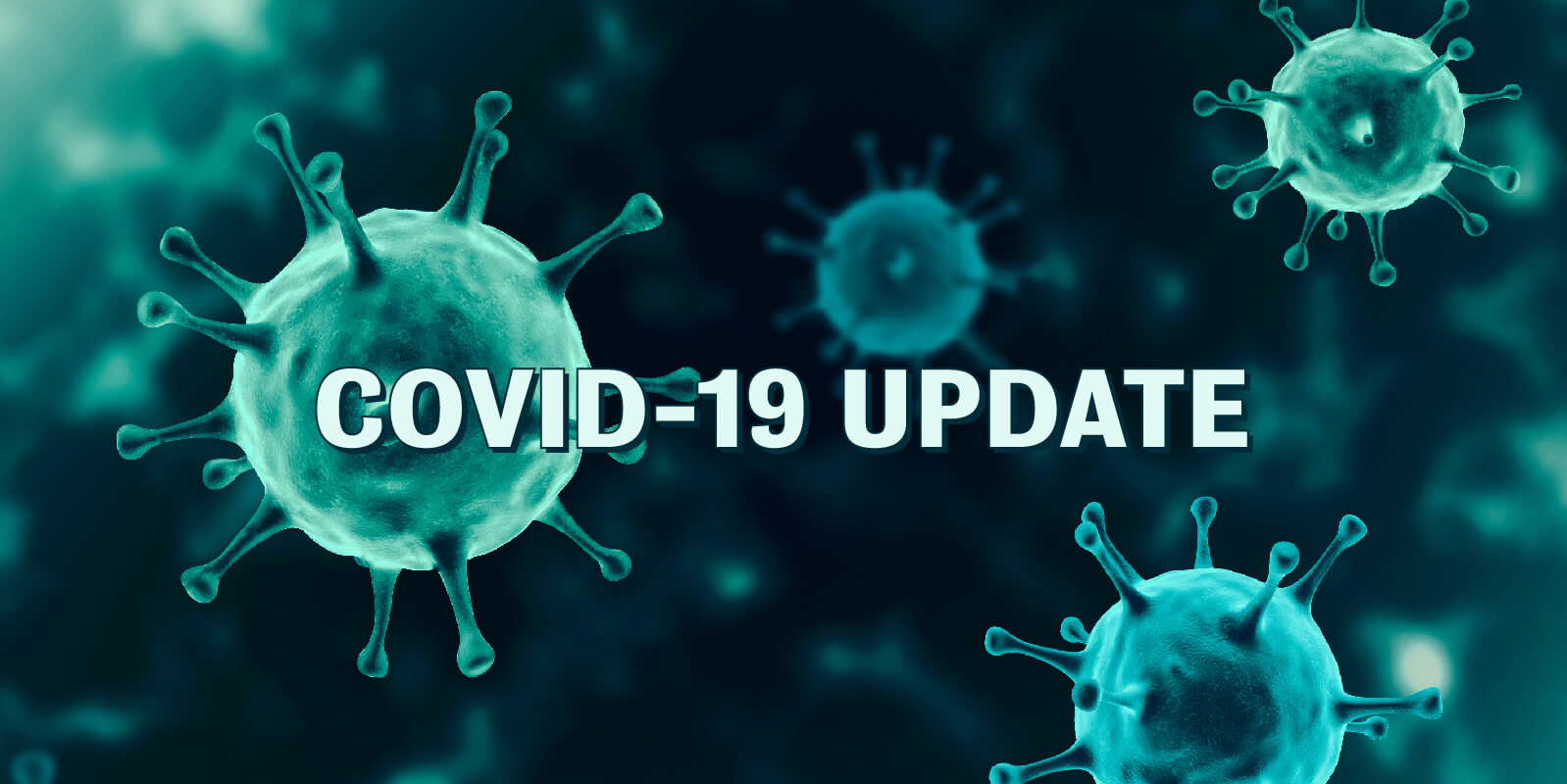 Covid-19 Corona Virus Firework Update